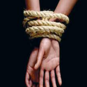 cover image of The Kidnapping